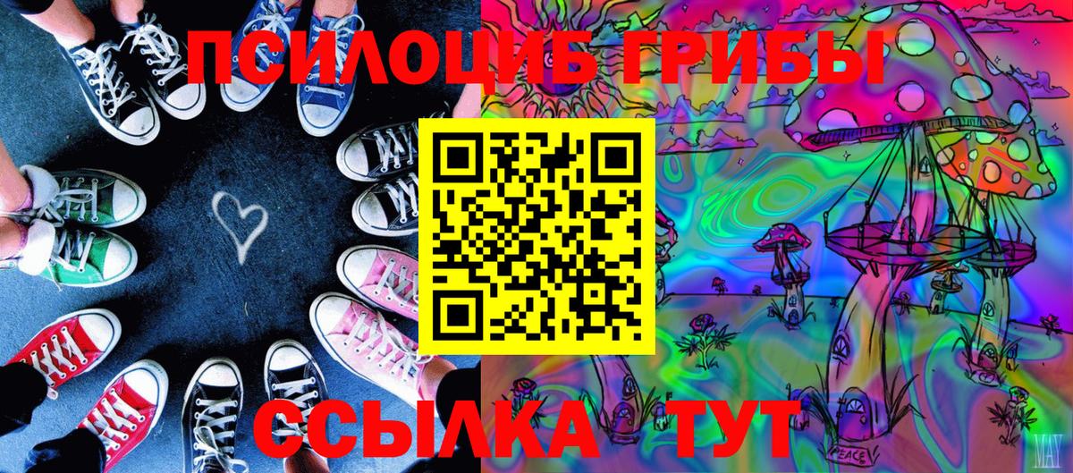 как найти наркотики  Вход с VPN  Тамбов  Псилоцибиновые грибы Magic Shrooms  Псилоцибиновые грибы мицелий 