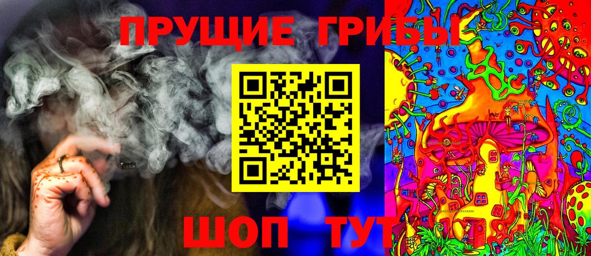 Псилоцибиновые грибы мухоморы Тамбов