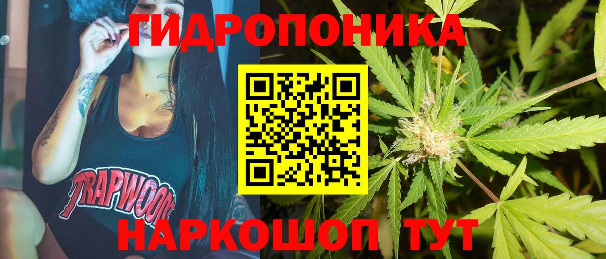 Бошки марихуана OG Kush Тамбов
